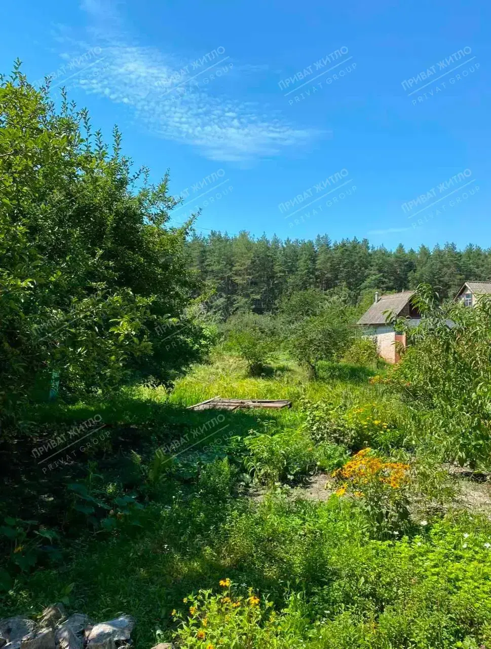 Будинок - Дача біля річки та лісу! Терешки
