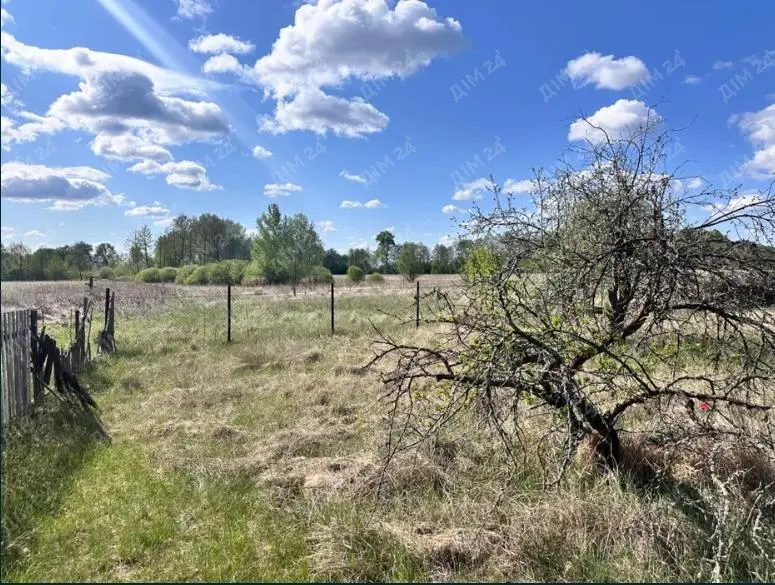 Земельна ділянка з житловим будинком