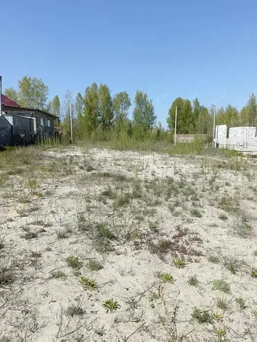Гарна земельна ділянка в Ліску