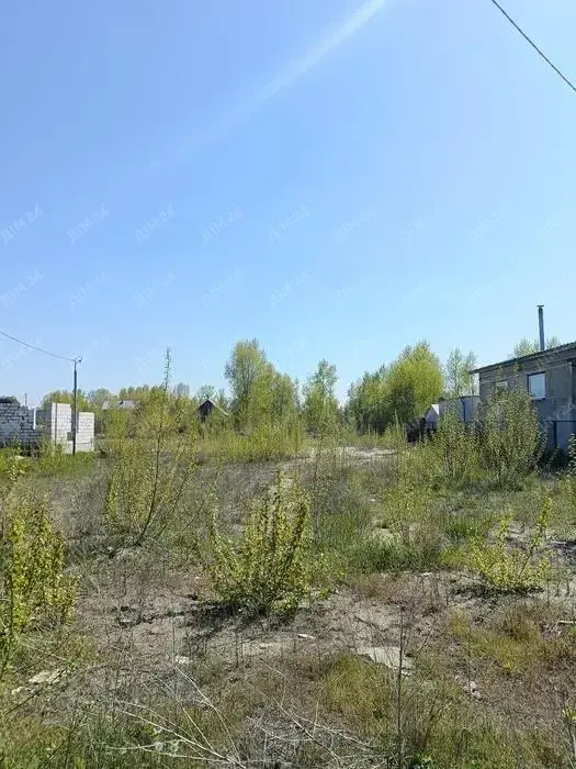 Гарна земельна ділянка в Ліску