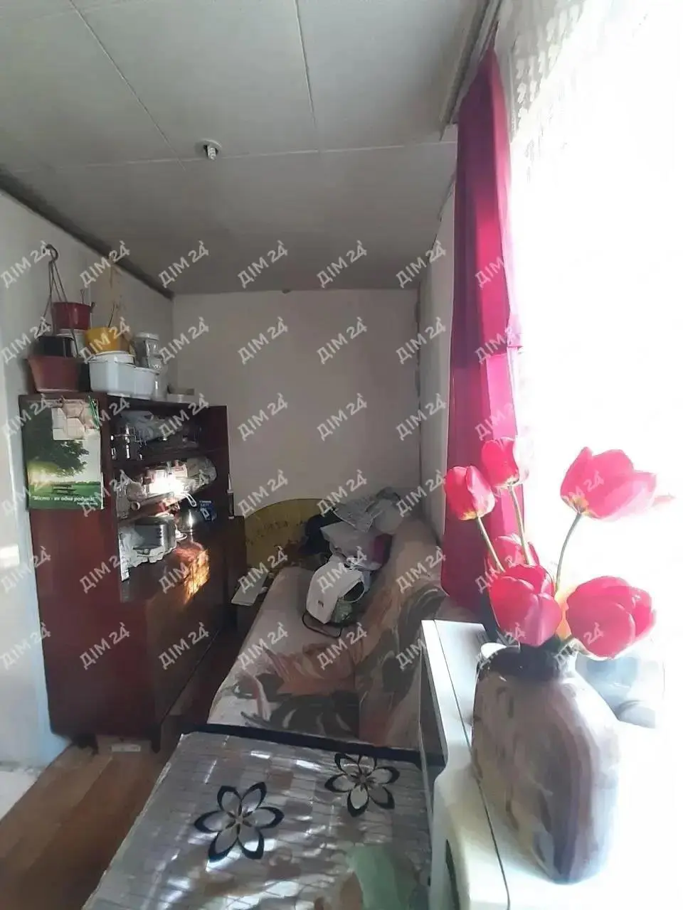 Власне подвір`я на Леваді