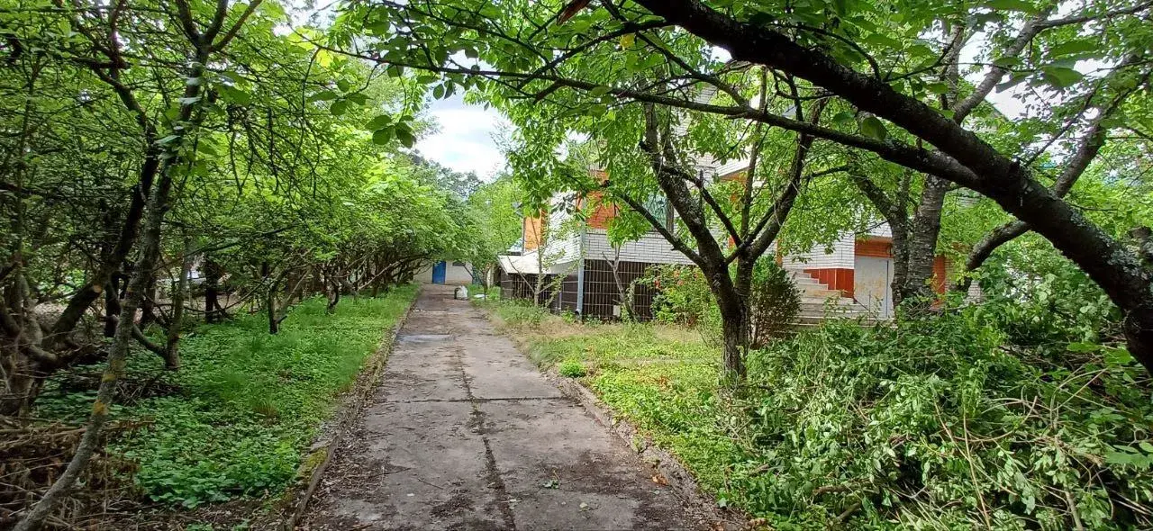 Будинок в с.Куклинці