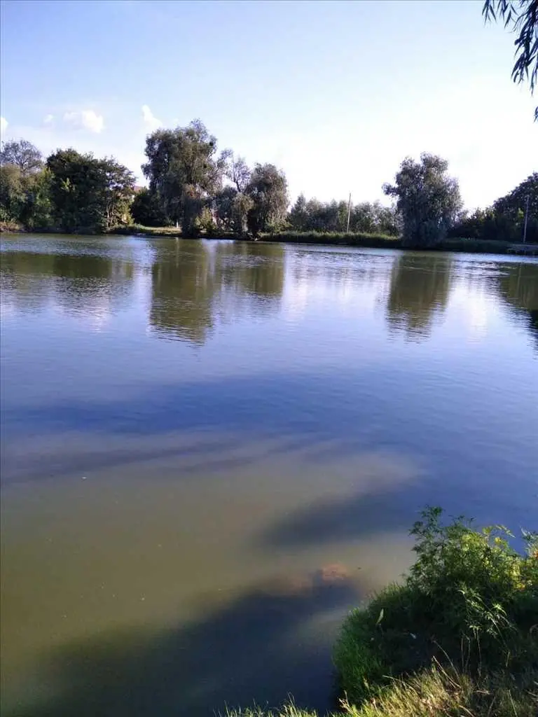 Земельна ділянка під забудову в Рибцях