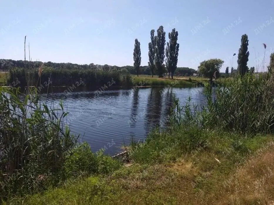 Петрівка. Ідеальна локація під ваш сучасний будинок. 