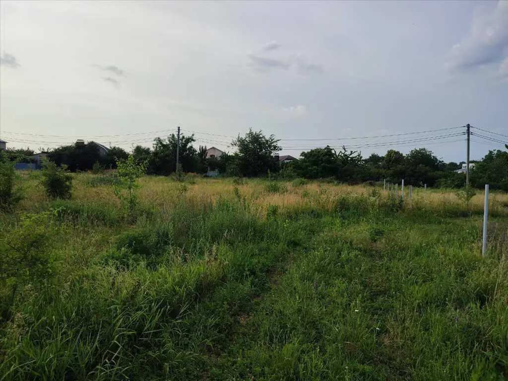 Земельна ділянка в Рибцях! 