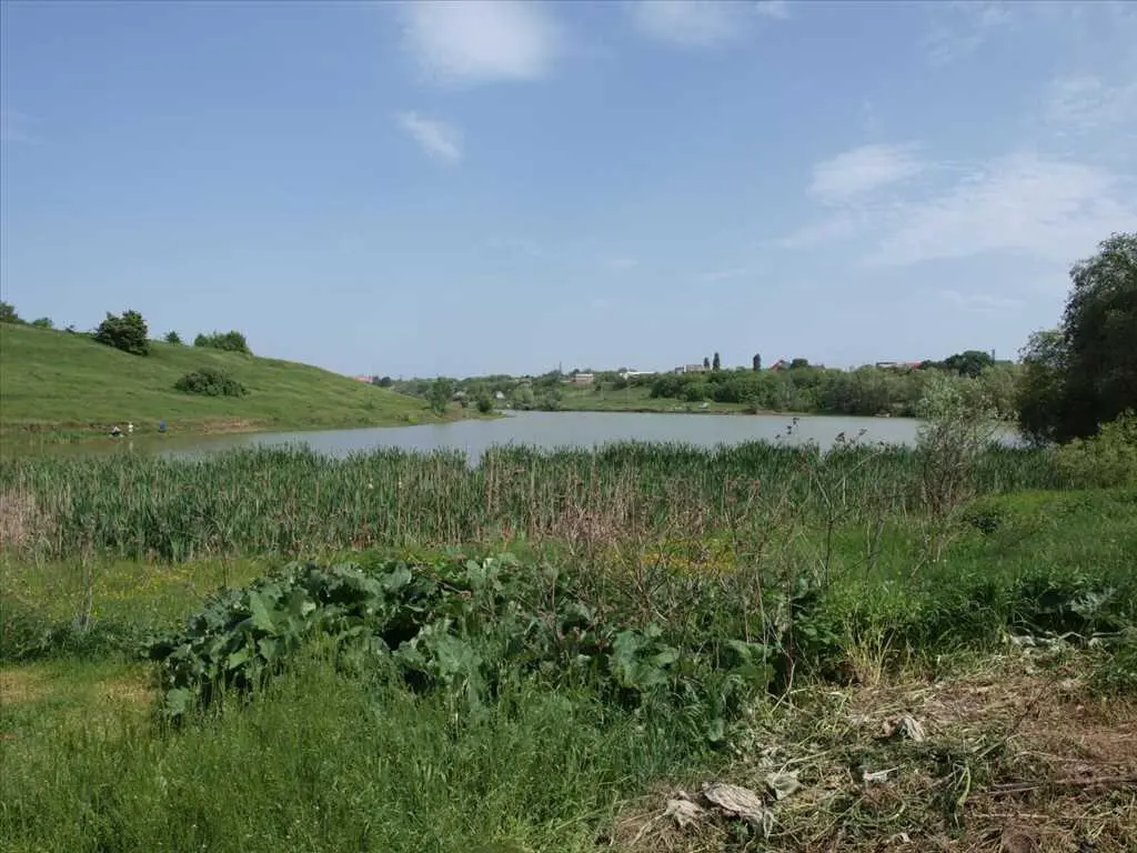 Земельна ділянка в Гожулах