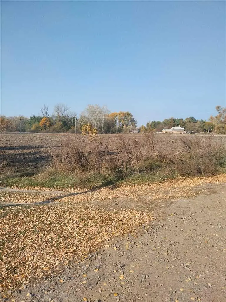 Продається земельна ділянка між Гавронцями та Тернівщиною.