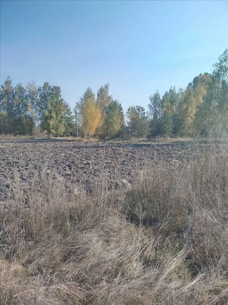 Продається земельна ділянка між Гавронцями та Тернівщиною.