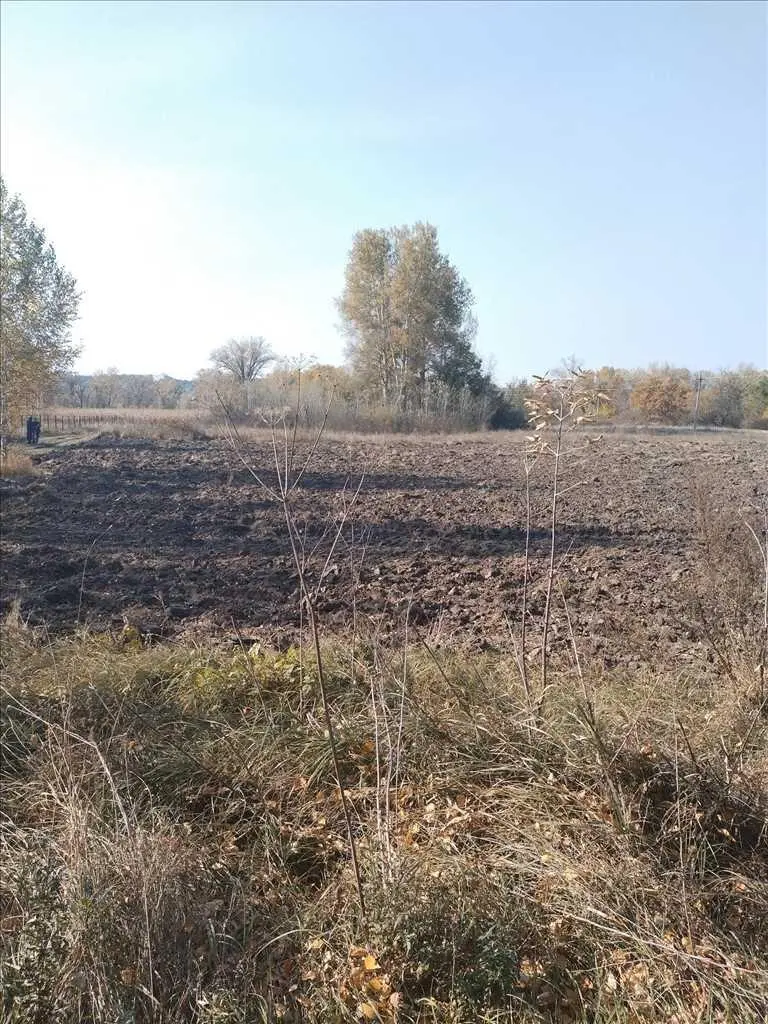 Продається земельна ділянка між Гавронцями та Тернівщиною.