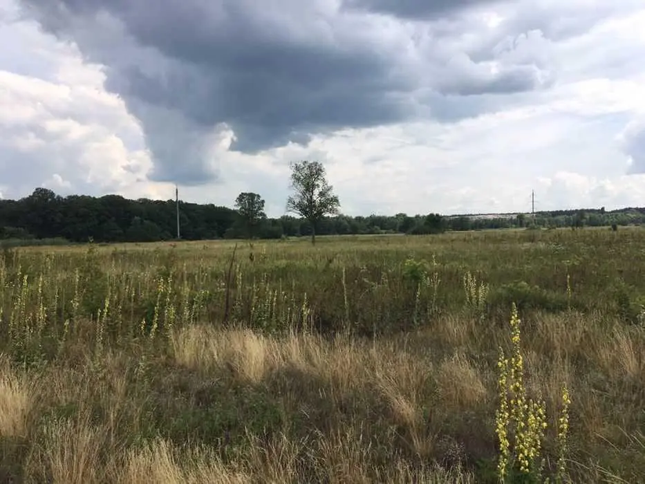 Час будувати будинок за містом.